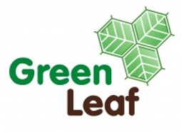  Green Leaf